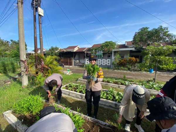 Kapolsek Sedati Panen Sayur Untuk Tingkatkan Ketahanan Pangan Lokal