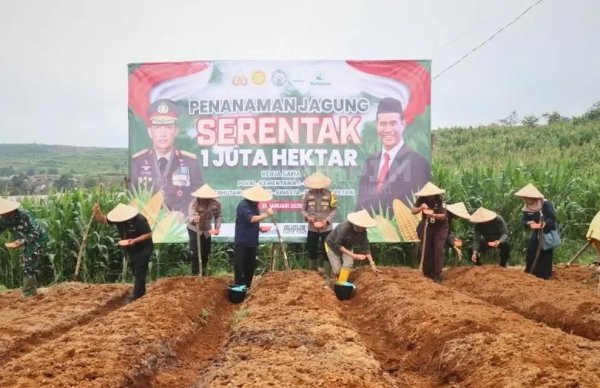 Pemkab Sukabumi Apresiasi Penanaman Jagung Serentak Satu Juta Hektar