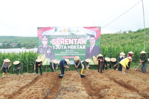 Tanam Jagung Serentak, Polres Sukabumi Dukung Program Ketahanan Pangan