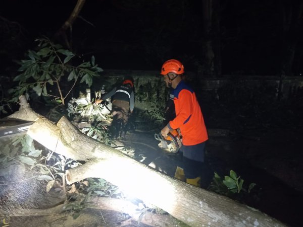 Pohon Tumbang Timpa Pagar Makam Pahlawan di Sukabumi