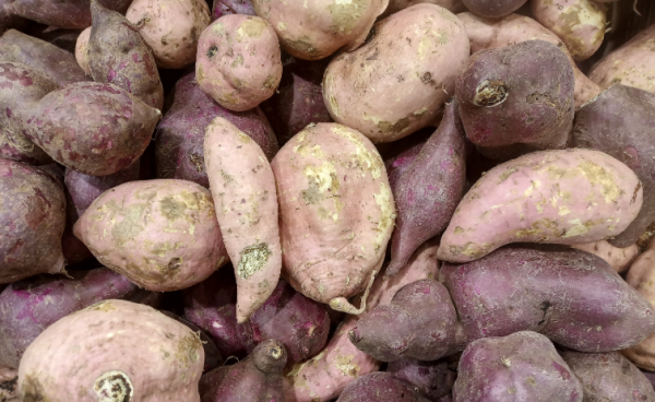 Alternatif Nasi: Ubi Jalar Lebih Sehat dan Kaya Nutrisi