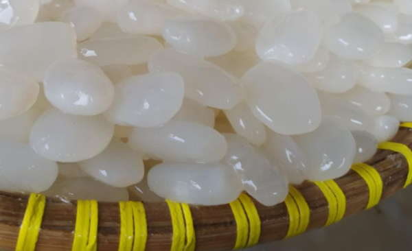 Cara Merebus Kolang-Kaling agar Empuk dan Tidak Asam untuk Takjil Ramadan