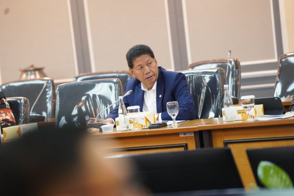 Berkaca Dari GAM, Tonny Tesar Sebut Pemberian Amnesti untuk KKB Papua Harus Dipertimbangkan