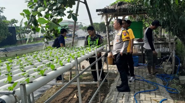 Wakapolresta Sidoarjo Tinjau Pelaksanaan Ketahanan Pangan di Desa Ponokawan Krian