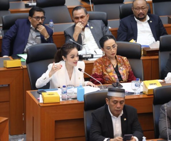 Andina Narang Dorong Pembatasan Akses Medsos untuk Anak Dibawah Umur