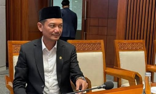 Buntut PSU di Sejumlah Daerah, Indrajaya Minta DKPP Periksa KPU-Bawaslu