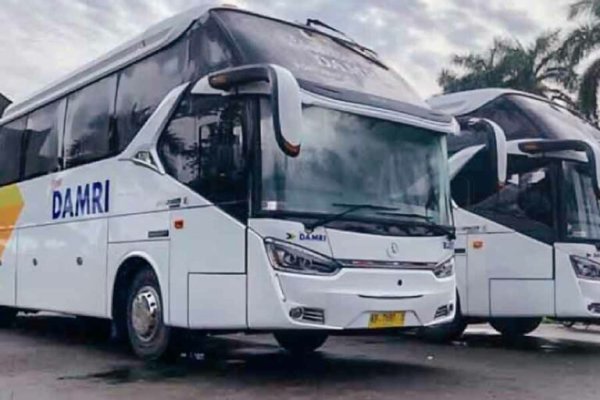 Tiket Mudik Lebaran 2025 Bus DAMRI Sudah Dibuka! Ini Cara Pesannya
