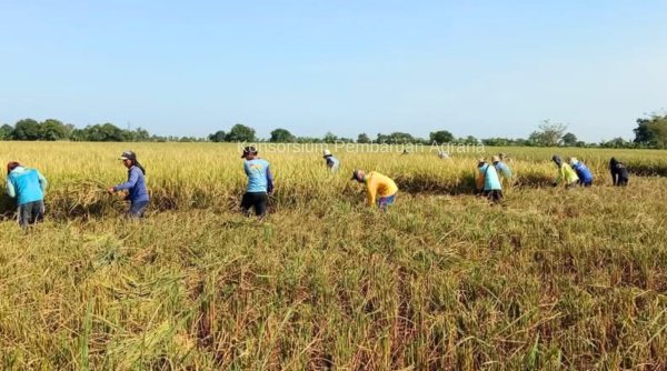 Menjelang Asia Land Forum 17-21 Februari 2025, Indonesia Tuan Rumah Forum Agraria se-Asia