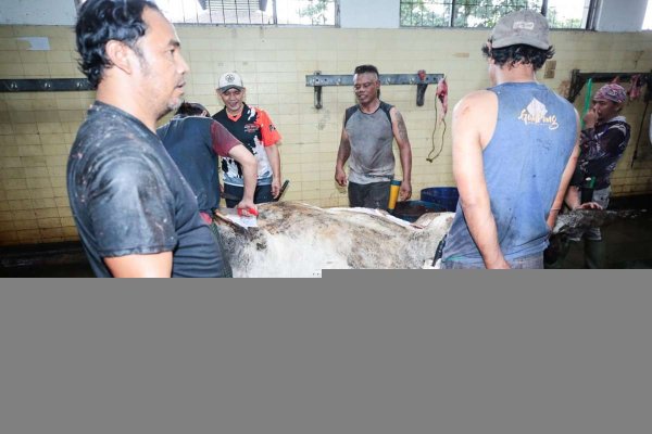 Pastikan Ketersediaan Daging Aman, Wali Kota Bandung Tinjau RPH Ciroyom