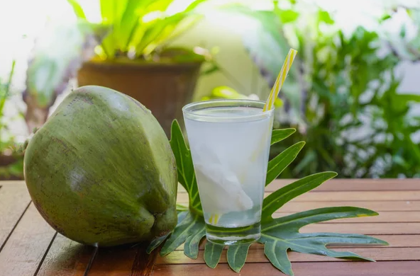 Manfaat Air Kelapa untuk Buka Puasa, Bantu Hidrasi dan Energi Tubuh