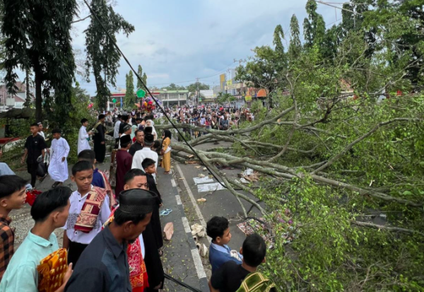 Pohon Tumbang Timpa Jamaah Salat Idul Fitri di Pemalang, Dua Orang Tewas dan 15 Terluka