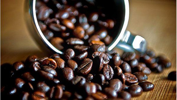Produksi Kopi Arabika Kabupaten Bandung Mencapai 8.567 Ton di 2024