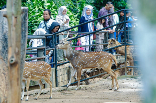 Wali Kota Bandung: Wisatawan Harus Bertanggung Jawab Atas Sampahnya