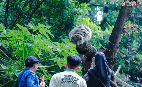 Cegah Sampah Berserakan, Bandung Zoo Melarang Botram