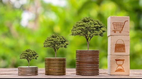 Clima4Future Luncurkan CO2Coin, Kripto Ramah Lingkungan Berbasis Ekonomi Nyata