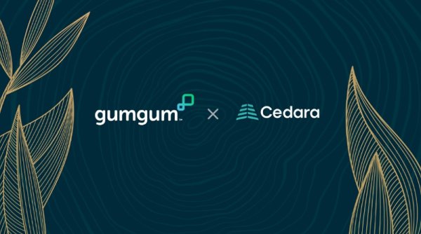 Iklan Digital GumGum 90% Lebih Rendah Emisi dari Standar Industri