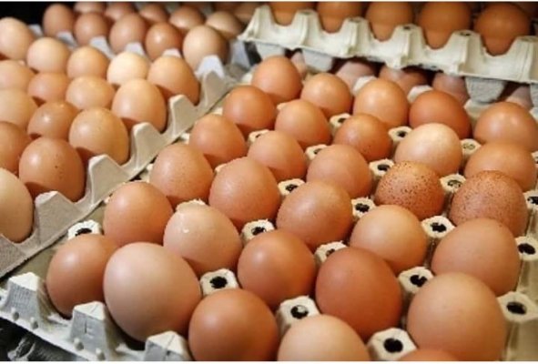 Harga Pangan Hari Ini Sabtu 19 April 2025, Telur Ayam Rp29.020 per kg