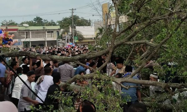 Jumlah Korban Tewas Akibat Pohon Tumbang di Pemalang Bertambah Menjadi Tiga Orang