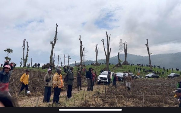 Puluhan Hektare Lahan Kebun Teh di Pangalengan Dirusak: Warga Tolak Alih Fungsi Lahan