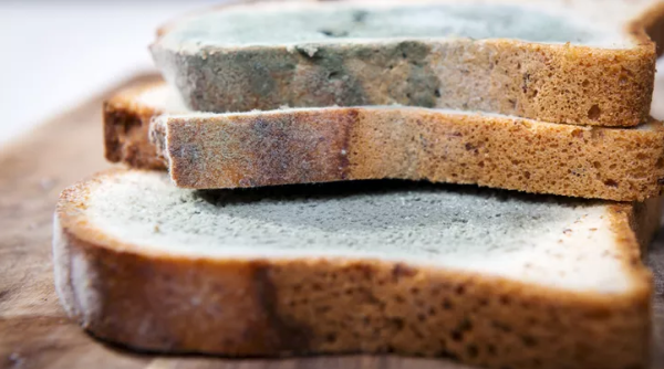 Kenali Tanda Makanan Basi dan Jika Sudah Terlanjur Dimakan