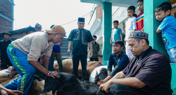 Wakil Wali Kota Bandung: Teknik Sembelih yang Benar Pengaruhi Kualitas Daging