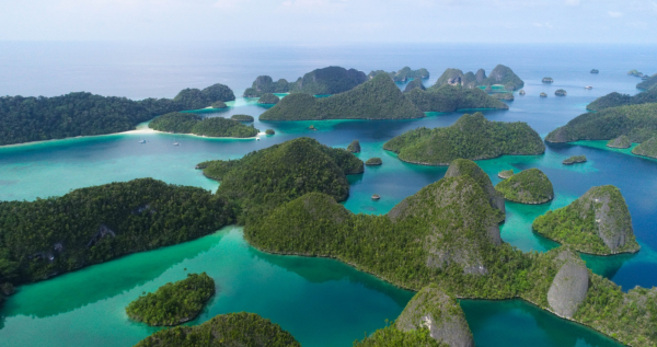 Menteri LH Temukan Kerusakan Lingkungan di Pulau Manuran, Raja Ampat