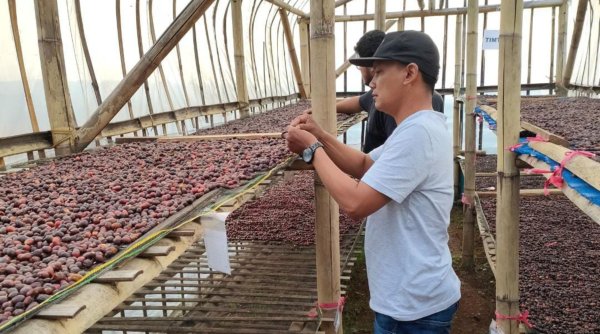 Pelaku Usaha Kopi Berharap Harga Kopi Stabil di Pasaran
