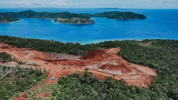 HIPMI Minta Pemerintah Tegakkan Hukum Tambang Nakal Usai Kasus Raja Ampat