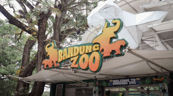 Farhan Ultimatum Pengelola Bandung Zoo yang Terus Berseteru