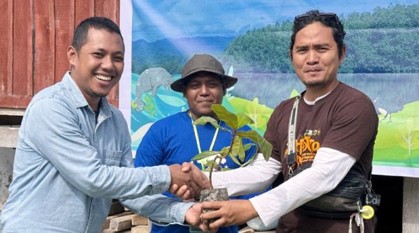 Masyarakat Donggala Gerakkan Rehabilitasi Mangrove Berbasis Ekologis