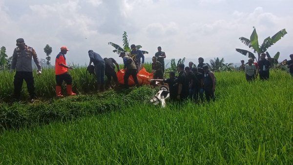 Driver Ojol Asal Jakarta Ditemukan Tewas di Sukabumi, Kondisinya Tertindih Motor di Sawah