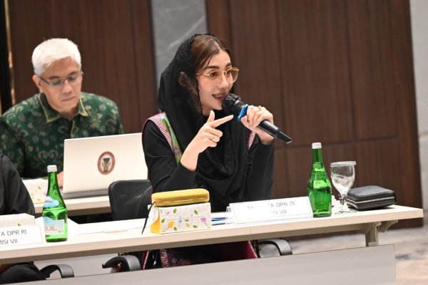 Novita Hardini: Indonesia Harus Berbenah Kejar Ketertinggalan Investasi