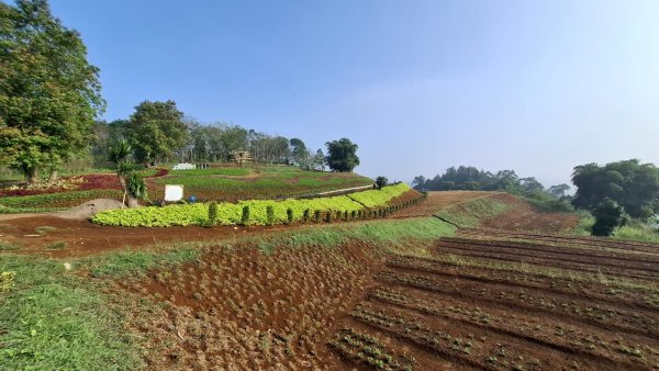 IPB Tekankan Soal Konservasi dalam Pengembangan Kawasan Agrowisata Panenjoan Sukabumi