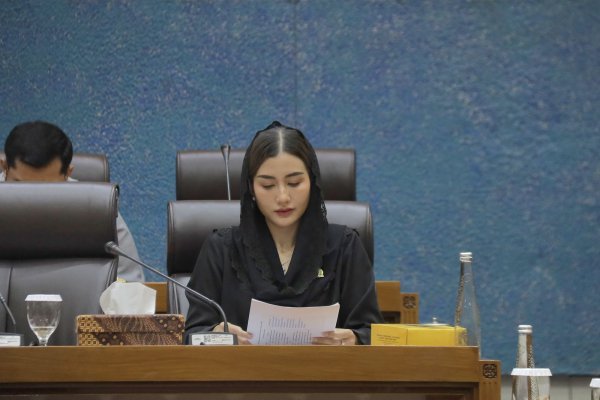 Desak Perbaikan Anggaran Ekraf dan UMKM, Novita Hardini: Harus Hadir Menjawab Kebutuhan Rakyat Di Lapangan