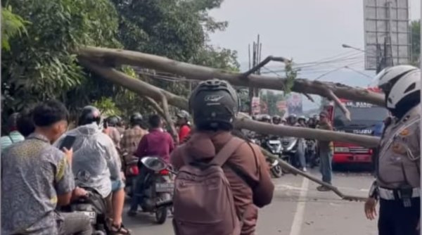 Puting Beliung Terjang Baleendah, Pohon Tumbang Hambat Lalu Lintas di Jalan Terusan Bojongsoang