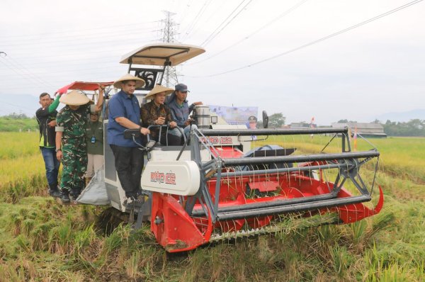 Kang DS dan Rajiv Gelar Panen Raya Bersama Gapoktan Padasuka dan Serahkan Bantuan Alsintan