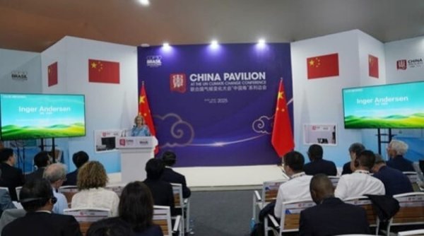 China Menyoroti Pencapaian Lingkungan pada Sesi Sampingan COP30
