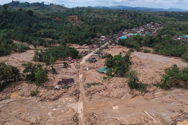 Kasus Kayu Gelondongan di Sumatera Utara Bareskrim Naikkan ke Tahap Penyidikan