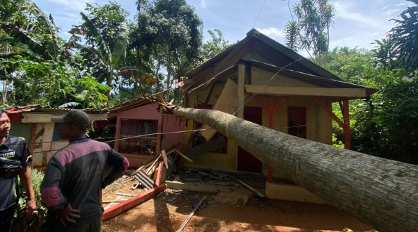Pohon Tumbang Rusak Rumah dan Bangunan BUMDes di Sukabumi