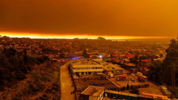 Gelombang Panas Ekstrem Picu Tragedi Kemanusiaan, 18 Orang Tewas dalam Kebakaran Hutan Chile