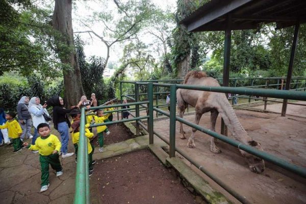 Farhan Ungkap Tiga Pilihan Konsep Kebun Binatang Bandung