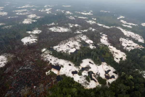 Negara Ambil Alih Tambang Ilegal, 190 Ribu Hektare Hutan Terancam Disita