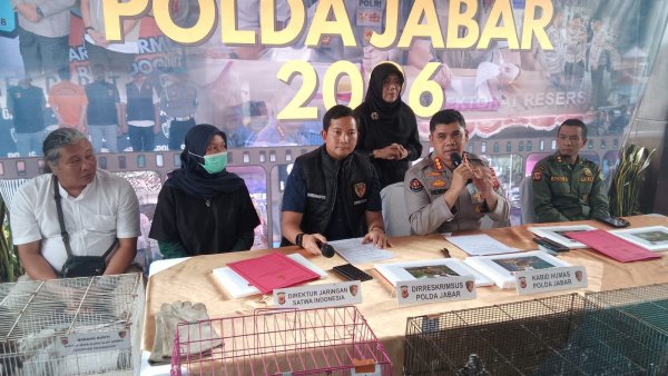Polda Jabar Bongkar Penyimpanan Burung Elang Ilegal di Indramayu