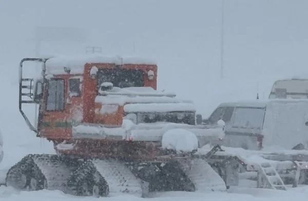 Delapan Pemain Ski Tewas Tertimbun Longsoran Salju di Lake Tahoe, Operasi Evakuasi Terkendala Cuaca Ekstrem