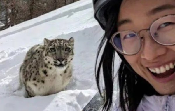 Selfie Berujung Serangan, Interaksi Manusia dan Satwa Liar Jadi Sorotan di Geopark China