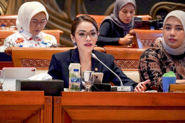 Andina Narang Apresiasi Pembatasan Akses Media Sosial bagi Anak