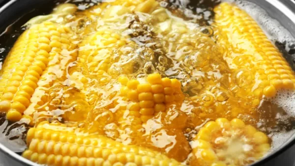 Lebih Sehat dari Menggoreng, Begini Manfaat Memasak dengan Air