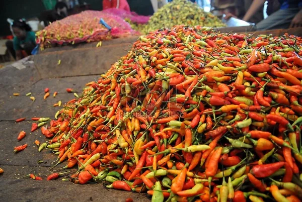 Harga Cabai Rawit Merah Tembus Rp63.900 per Kilogram