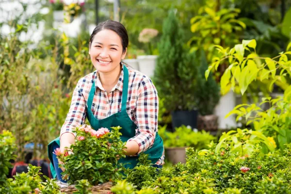 Riset Ungkap Berkebun Dinilai Efektif Jaga Kesehatan Mental