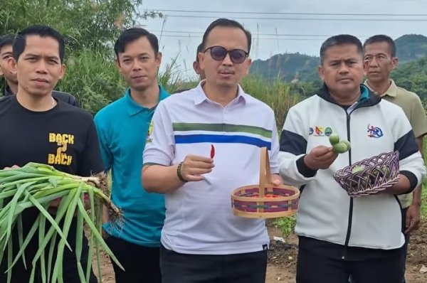 Kepala Dispora Gelar Panen Raya dan Gerakan Tanami Halaman Kantor